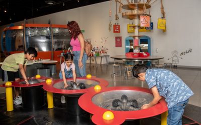 Papalote Cuernavaca; más que un museo, es una herramienta educativa y de desarrollo social