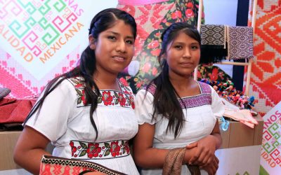 Reforma electoral de mujeres y grupos indígenas, ¿cuáles son las propuestas?