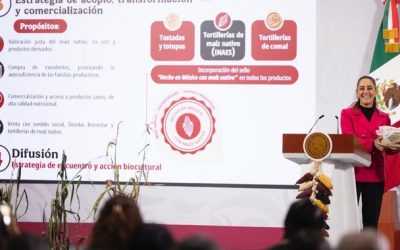 Gobierno de México anuncia Plan Nacional Maíz Nativo