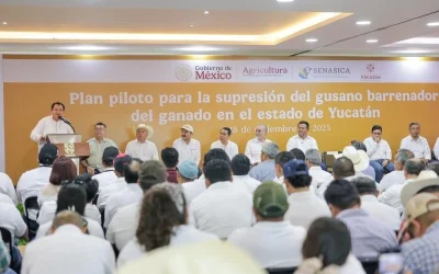 Yucatán presenta plan piloto para la supresión del gusano barrenador