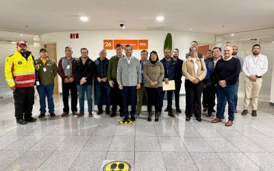 Nuevo León activa plan de saneamiento en bosques por plaga de insecto descortezador 