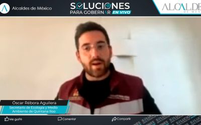 El sargazo en Quintana Roo, un aliado para la economía local: SEMA