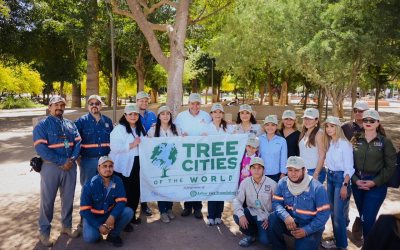 Hermosillo recibe reconocimiento “Tree Cities of the World”