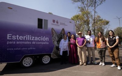 Anuncia Clara Brugada acciones para convertir a la capital en la ciudad con mayor bienestar animal del país