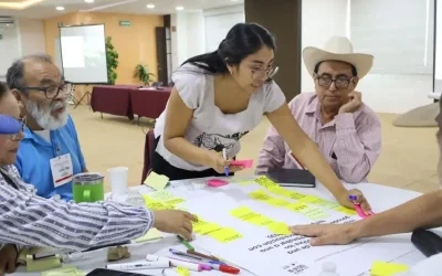 Yucatán avanza en la construcción de modelo ganadero sustentable