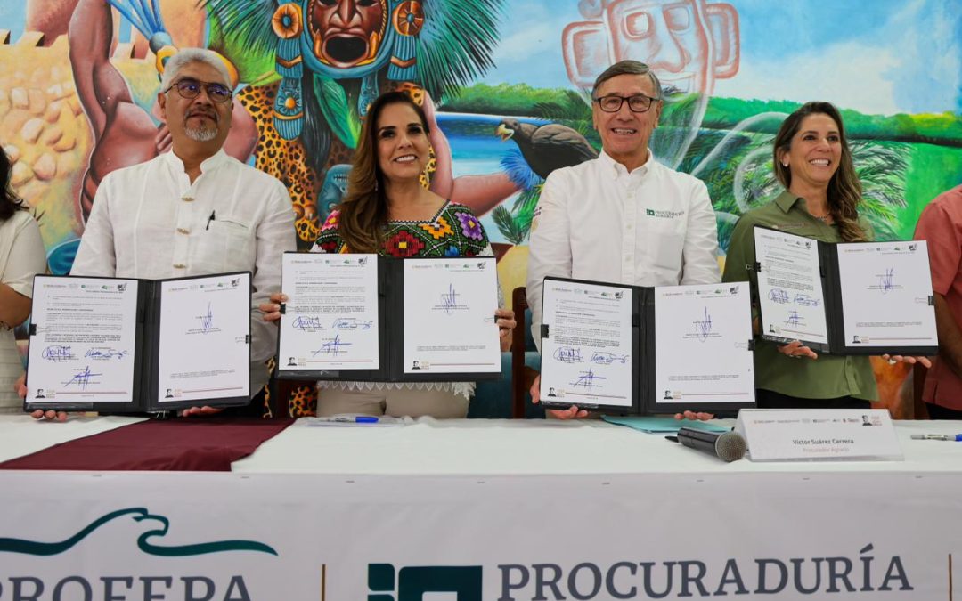 Gobierno de Quintana Roo articula acciones federales para blindar la selva estatal