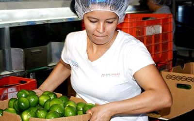 Persisten rezagos y retos en el desarrollo laboral de la mujer en México: IMCO