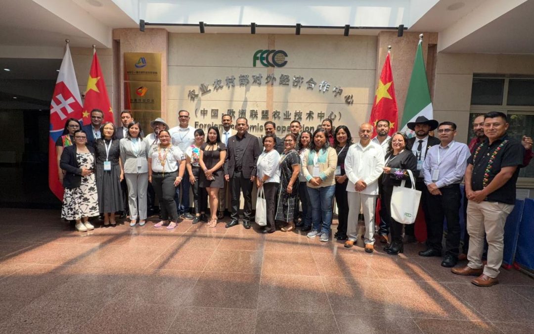 Sinaloa explora comercio de sorgo con China