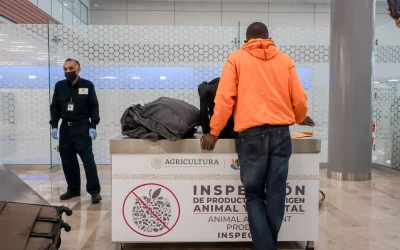 Senasica refuerza inspecciones por llegada de más de 5 millones de turistas durante el Mundial