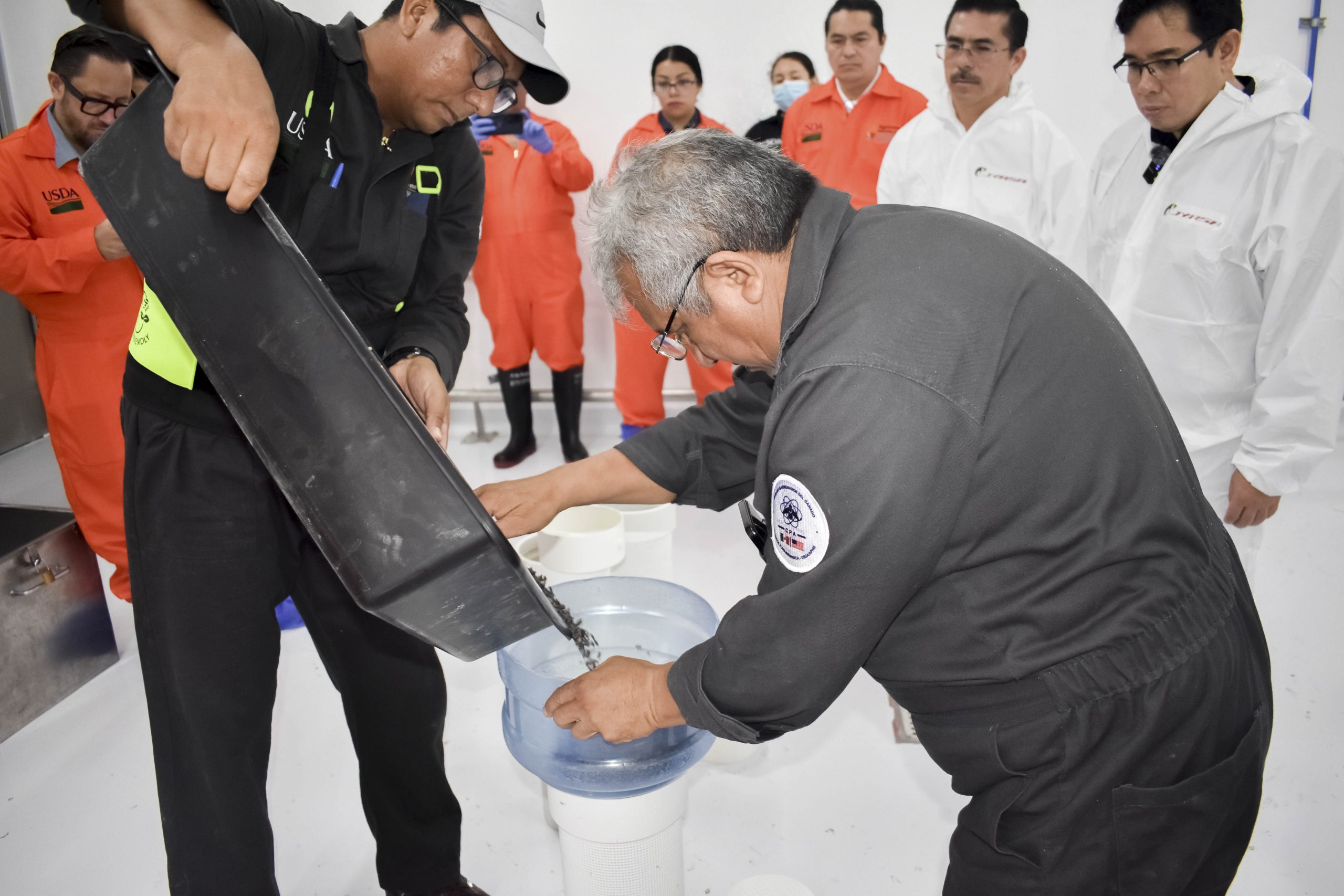 Chihuahua recibe primer lote de moscas estériles para combatir el gusano barrenador