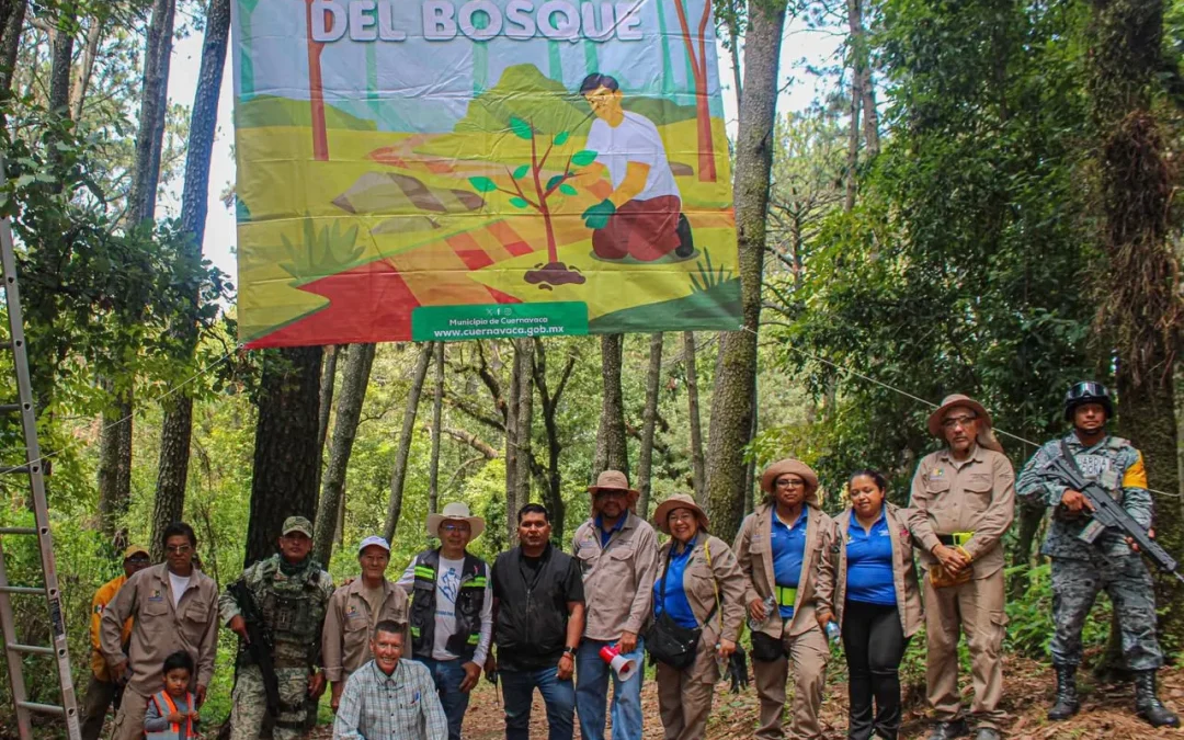 Cuernavaca inicia reforestación de bosques con la plantación de mil 700 árboles
