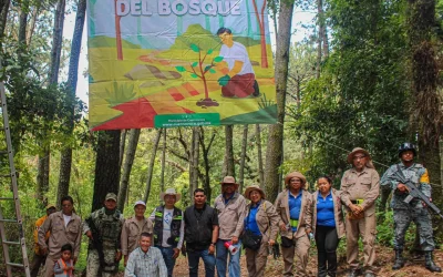 Cuernavaca inicia reforestación de bosques con la plantación de mil 700 árboles