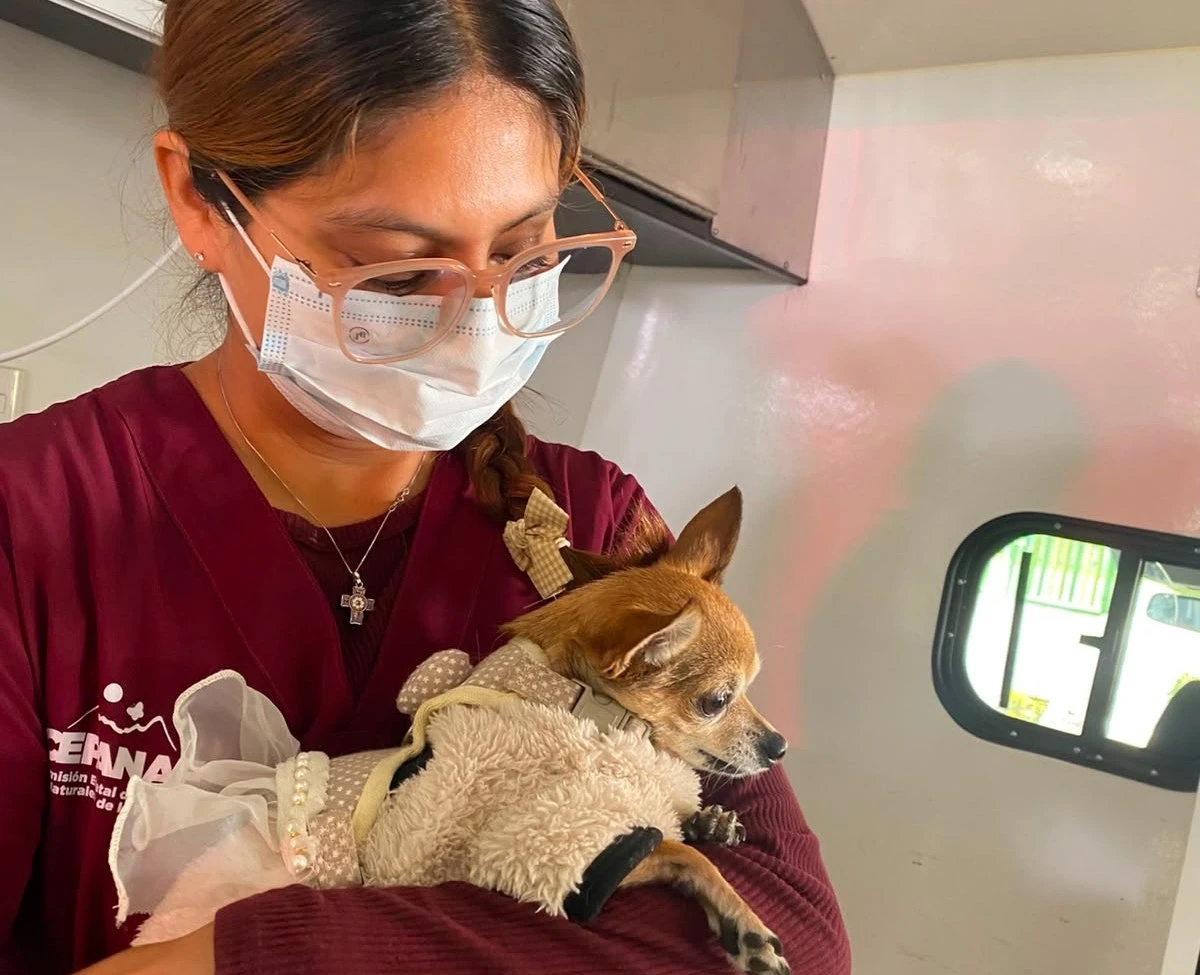 Con más de mil 200 servicios gratuitos y 29 adopciones responsables, el EdoMéx celebró el Día Mundial del Perro
