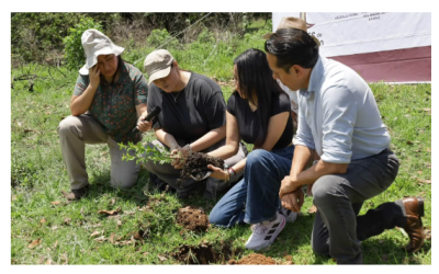 Valle de Bravo impulsa la restauración forestal con 15 jornadas de reforestación