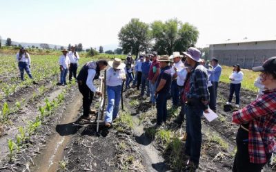 Zamora impulsa prácticas agroecológicas con capacitación