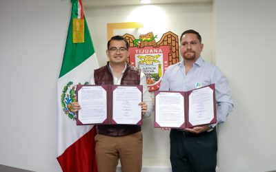 Tijuana refuerza prevención de rickettsiosis y borreliosis con alianza civil