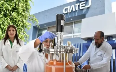 El mercado laboral está cambiando, México necesita adaptar su sistema educativo a las nuevas tendencias: IMCO