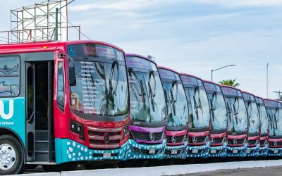 Tiburón Urbano suma 2.8 millones de viajes en La Paz