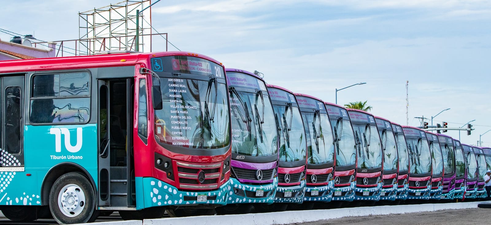 Tiburón Urbano suma 2.8 millones de viajes en La Paz
