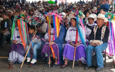 Interpretar y traducir, el primer paso para garantizar derechos a los pueblos originarios