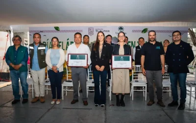 Tlalpan suma cinco años como Ciudad Árbol del Mundo