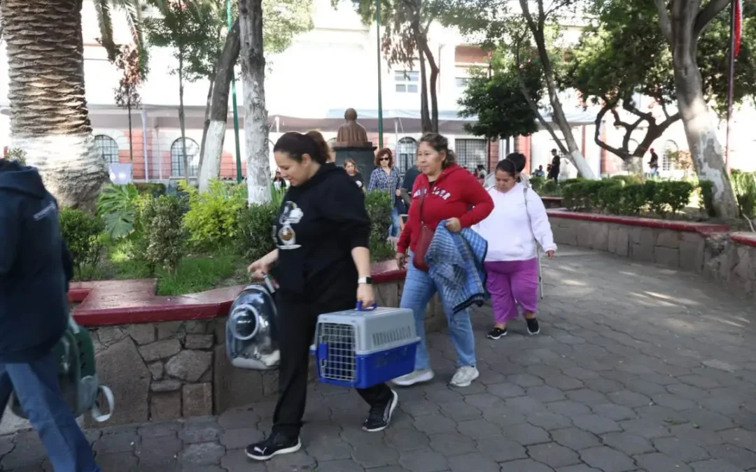 Tlalnepantla suma más de 16 mil atenciones veterinarias