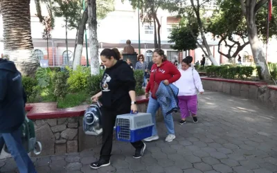 Tlalnepantla suma más de 16 mil atenciones veterinarias