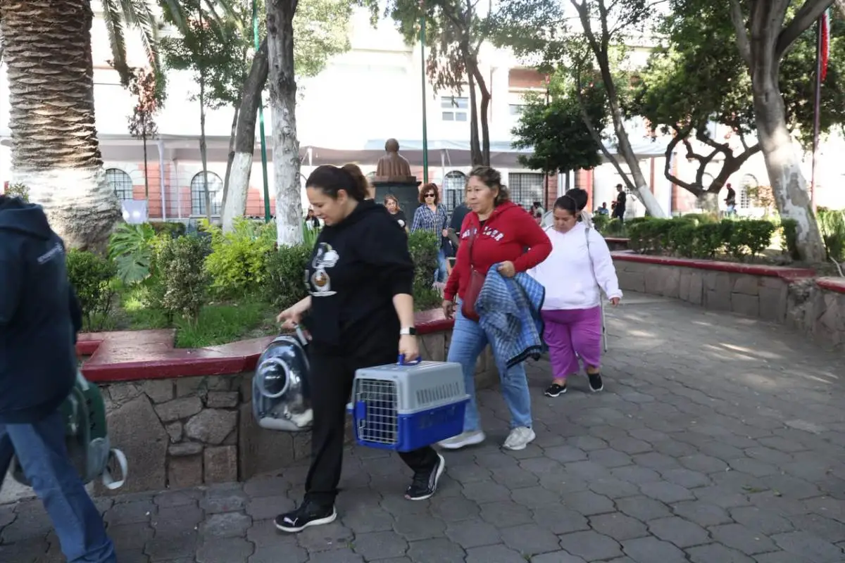 Tlalnepantla suma más de 16 mil atenciones veterinarias