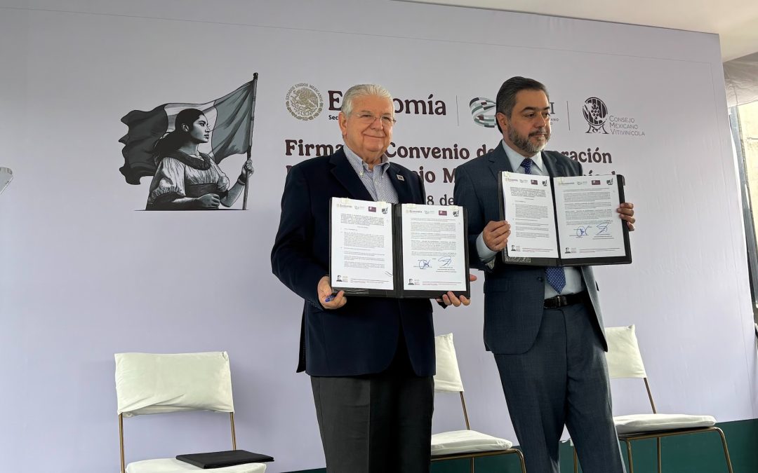 Vino Mexicano busca certificación para distinguir productos nacionales