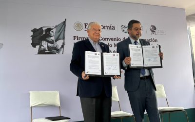 Vino Mexicano busca certificación para distinguir productos nacionales