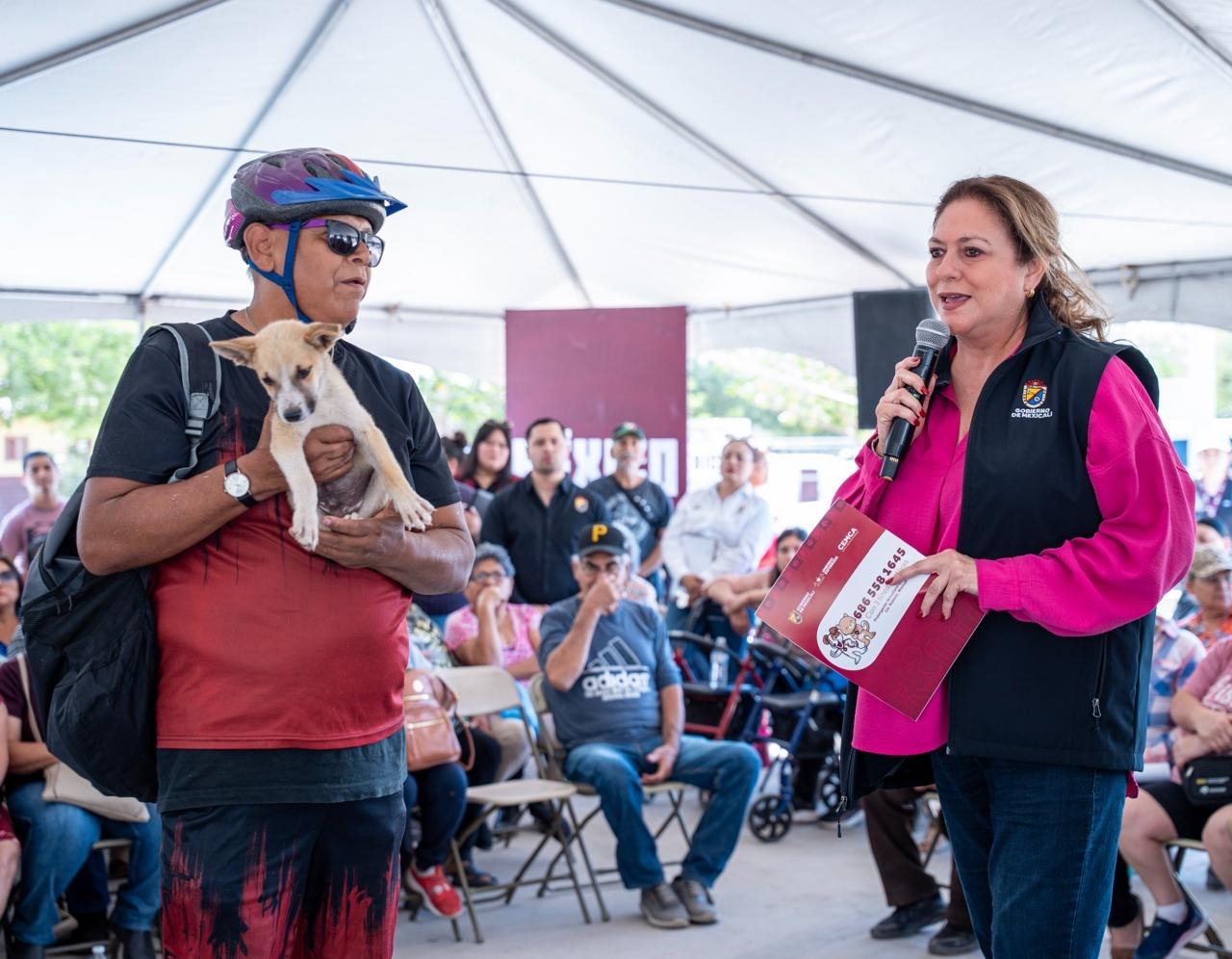 Mexicali refuerza cuidado de mascotas con vacunación y esterilización